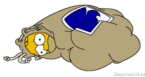 homer132.jpg